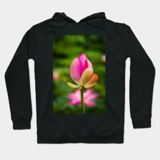 Lotus bud Hoodie